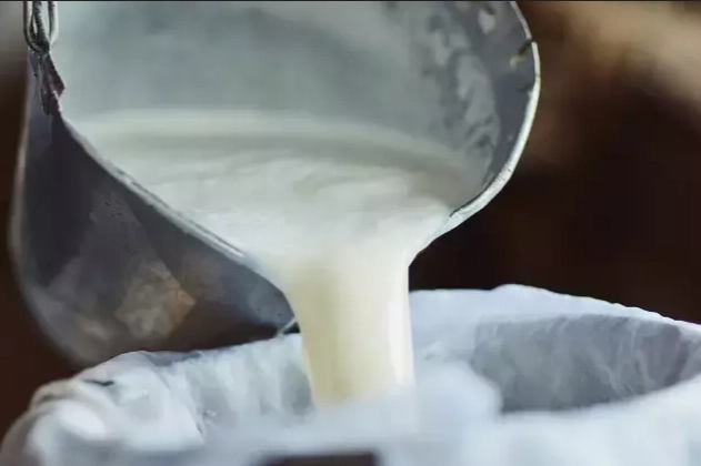 Şubat'ta süt ürünleri üretiminde düşüş... Ayran ve kefir üretimi yüzde 6,9 arttı